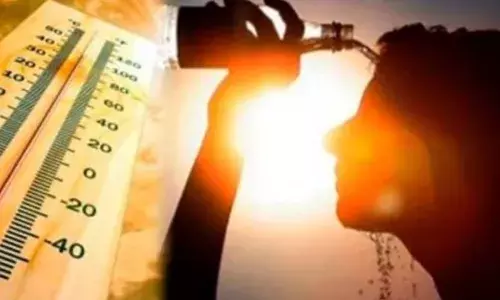 ਪੰਜਾਬ ਚ ਗਰਮੀ ਦਾ ਕਹਿਰ, ਤਾਪਮਾਨ 48 ਡਿਗਰੀ ਦੇ ਪਾਰ, ਜਾਣੋ ਸੂਬਿਆਂ ਦਾ ਹਾਲ