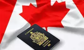 New College of Immigration and Citizenship Consultants officially opens