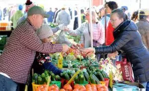 The Brampton Farmers’ Market returns this summer in a new location