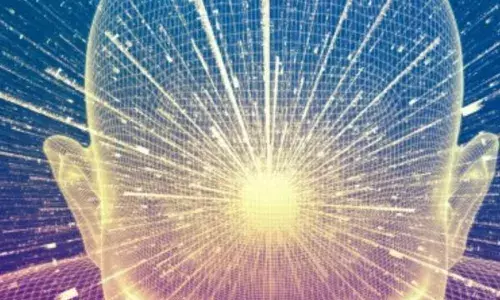 ਮਨੁੱਖੀ ਦਿਮਾਗ ਸਭ ਤੋਂ ਗੁੰਝਲਦਾਰ ਕਿਉਂ ਹੈ ?