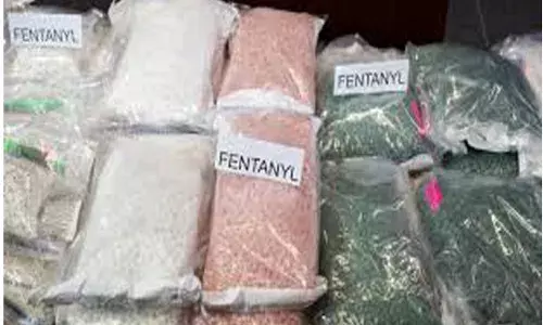 ਬੀ.ਸੀ. ਵਿਚ ਨਸ਼ਿਆਂ ਦੀ ਓਵਰਡੋਜ਼ ਕਾਰਨ 763 ਜਣਿਆਂ ਦੀ ਗਈ ਜਾਨ