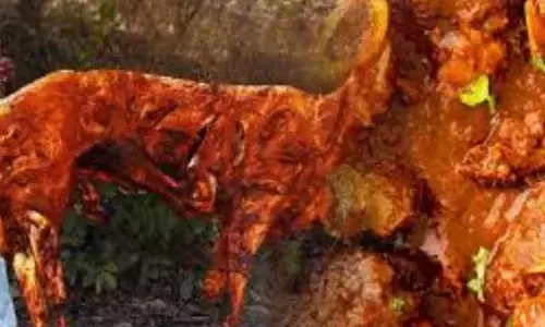 Mutton Korma: ਮਟਨ ਕੋਰਮਾ ਇਵੇਂ ਬਣਾਓਗੇ ਤਾਂ ਰਹਿ ਜਾਓਗੇ ਉਂਗਲਾਂ ਚੱਟਦੇ