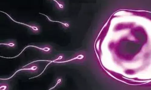 ਸ਼ੁਕਰਾਣੂਆਂ ਦੀ ਗਿਣਤੀ ਵਧਾਉਣ ਲਈ ਖਾਓ ਇਹ ਚੀਜ਼ਾਂ