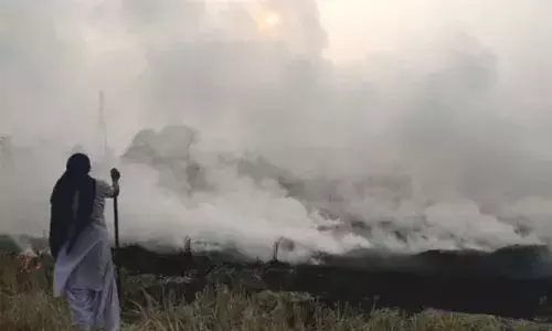 ਪੰਜਾਬ ‘ਚ ਪਰਾਲੀ ਸਾੜਨ ਤੇ ਕੇਂਦਰ ਸਖ਼ਤ, ਸਰਕਾਰ ਤੋਂ ਪਹਿਲਾਂ ਹੀ ਮੰਗ ਲਿਆ PLAN