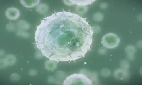 ਕੈਨੇਡਾ ਦੇ 3 ਰਾਜਾਂ ਵਿਚ ਖ਼ਤਰਨਾਕ ਬਿਮਾਰੀ ਫੈਲਣ ਦੀ ਚਿਤਾਵਨੀ