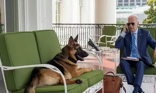 ਜੋਅ ਬਾਇਡਨ ਦੇ ਕੁੱਤੇ ਨੇ 35 ਸੁਰੱਖਿਆ ਅਫਸਰਾਂ ਨੂੰ ਵੱਢਿਆ
