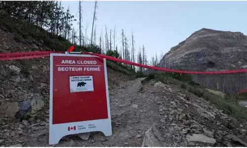 ਕੈਨੇਡਾ ’ਚ ਰਿੱਛ ਦੇ ਹਮਲੇ ਮਗਰੋਂ ਵਾਟਰਟਨ ਲੇਕਸ ਨੈਸ਼ਨਲ ਪਾਰਕ ਬੰਦ