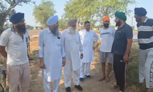 ਨਾਭਾ ’ਚ ਨਹਿਰੀ ਪਾਣੀ ਕਾਰਨ ਕਿਸਾਨਾਂ ਦੇ ਚਿਹਰੇ ਖਿੜੇ, ਮਾਨ ਸਰਕਾਰ ਦੀਆਂ ਤਾਰੀਫ਼ਾਂ