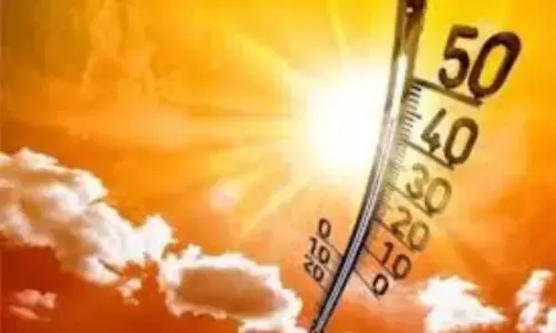 ਹਾਏ ਗਰਮੀ: ਲੁਧਿਆਣਾ ਚ ਪਿਛਲੇ 70 ਸਾਲਾਂ ਦਾ ਟੁੱਟਿਆ ਰਿਕਾਰਡ, ਤਾਪਮਾਨ 47 ਡਿਗਰੀ ਤੋਂ ਪਾਰ