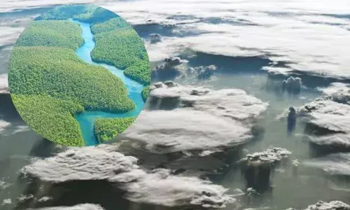 ਐਮਾਜ਼ੋਨ ਜੰਗਲ ’ਤੇ ਮੌਜੂਦ ਐ ਹਵਾ ’ਚ ਉਡਦੀ ਨਦੀ! ਵਿਗਿਆਨੀ ਵੀ ਹੋ ਗਏ ਹੈਰਾਨ