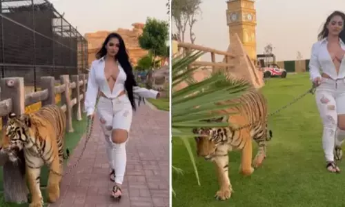 ਚੀਤੇ ਨੂੰ ਜੰਜ਼ੀਰਾਂ ਨਾਲ ਬੰਨ੍ਹ ਕੇ ਤੁਰਦੀ ਹੋਈ ਦੇਖੀ ਇੱਕ ਖੂਬਸੂਰਤ ਮਹਿਲਾ, ਉਸਦੇ ਕੱਪੜੇ ਦੇਖ ਕੇ ਲੋਕ ਬੋਲੇ-ਤੁਸੀਂ ਇਸ ਨਾਲ ਲੜ ਕੇ ਆਏ ਹੋਵੋਗੇ, VIDEO ਵਾਇਰਲ