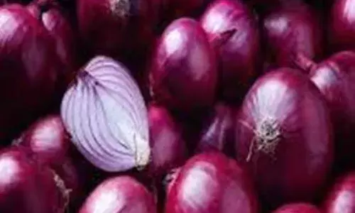 ਪਿਆਜ਼ ਦੀਆਂ ਡਿੱਗਦੀਆਂ ਕੀਮਤਾਂ: ਕਿਸਾਨਾਂ ਦੀ ਮੁਸ਼ਕਲ ਅਤੇ ਸਰਕਾਰ ਤੋਂ ਮੰਗ