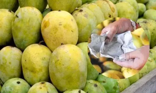 ਜ਼ਹਿਰੀਲੇ ਅੰਬ ਤਾਂ ਨਹੀਂ ਖਾ ਰਹੇ ਤੁਸੀਂ, ਫੜੇ ਗਏ 7500 ਕਿਲੋ ਨਕਲੀ ਅੰਬ