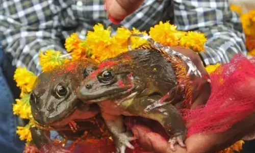 ਚੰਗੀ ਬਾਰਿਸ਼ ਲਈ ਲੋਕਾਂ ਦੇ ਅਨੋਖੇ ਰਿਵਾਜ਼