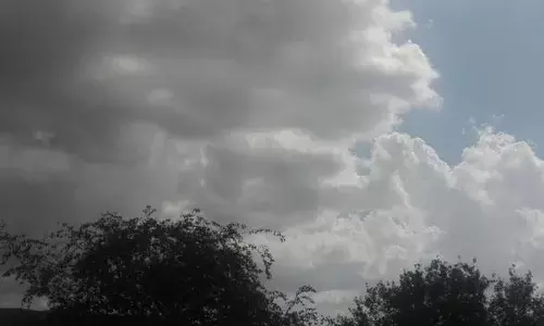 ਉੱਤਰੀ ਭਾਰਤ ਦੇ ਰਾਜਾਂ ਵਿੱਚ 15 ਦਸੰਬਰ ਤੱਕ ਸੀਤ ਲਹਿਰਰਹੇਗੀ