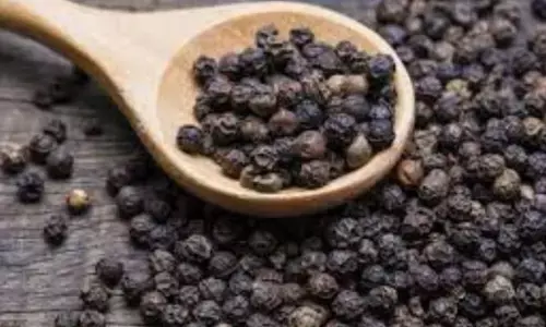 ਕਾਲੀ ਮਿਰਚ ਖਾਣ ਨਾਲ ਇਹ ਬਿਮਾਰੀਆਂ ਹੁੰਦੀਆਂ ਹਨ ਦੂਰ ਕਾਲੀ ਮਿਰਚ ਖਾਣ ਨਾਲ ਇਹ ਬਿਮਾਰੀਆਂ ਹੁੰਦੀਆਂ ਹਨ ਦੂਰ