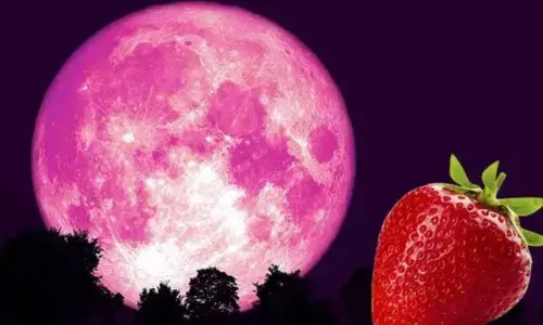ਅੱਜ ਆਸਮਾਨ ’ਚ ਦਿਸੇਗਾ ‘ਸਟ੍ਰਾਬੇਰੀ ਮੂਨ’!