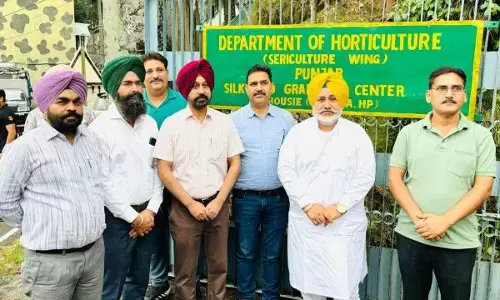 ਬਾਗ਼ਬਾਨੀ ਮੰਤਰੀ ਚੇਤਨ ਸਿੰਘ ਜੌੜਾਮਾਜਰਾ ਵਲੋਂ ਰੇਸ਼ਮ ਬੀਜ ਉਤਪਾਦਨ ਸੈਂਟਰ ਦਾ ਦੌਰਾ, ਅਧਿਕਾਰੀਆਂ ਨੂੰ ਦਿੱਤੇ ਜ਼ਰੂਰੀ ਨਿਰਦੇਸ਼