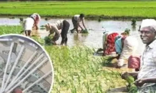 ਕਿਸਾਨਾਂ ਨੂੰ ਮਿਲਿਆ ਵੱਡਾ ਤੋਹਫਾ, ਇਸ ਸੂਬੇ ਚ 2 ਲੱਖ ਦੀ ਕਰਜ਼ਾ ਮੁਆਫੀ ਦਾ ਐਲਾਨ, ਜਾਣੋ ਕਿਸ ਨੂੰ ਮਿਲੇਗਾ ਫਾਇਦਾ