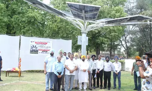 ਪੀ.ਐਸ.ਪੀ.ਸੀ.ਐਲ ਵੱਲੋਂ ਵਿਲੱਖਣ ਪਹਿਲਕਦਮੀ, 35 ਕਿਲੋਵਾਟ ਸਮਰੱਥਾ ਦੇ ਲਗਾਏ ਸੱਤ ਸੋਲਰ ਰੁੱਖ