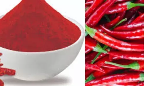 ਲਾਲ ਮਿਰਚ ਖਾਣ ਵਾਲੇ ਹੋ ਜਾਓ ਸਾਵਧਾਨ, ਜਾਣੋ ਸਿਹਤ ਨੂੰ ਕੀ ਹੁੰਦੇ ਹਨ ਨੁਕਸਾਨ