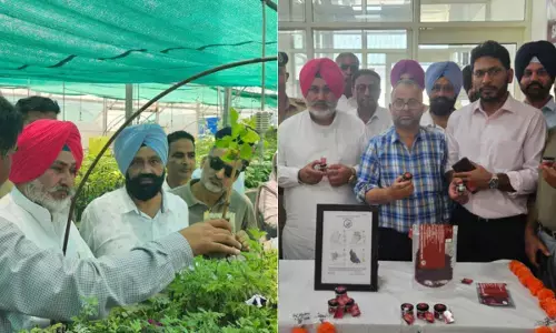 ਸੂਬੇ ਚ ਕੋਲਡ ਸਟੋਰ ਅਤੇ ਪ੍ਰੋਸੈਸਿੰਗ ਇੰਡਸਟਰੀ ਲਾਉਣ ਲਈ ਵੱਖ-ਵੱਖ ਇੰਡਸਟਰੀਅਲ ਗਰੋਥ ਸੈਂਟਰ ਦੇ ਨੁਮਾਇੰਦਿਆਂ ਨਾਲ ਕੀਤੀਆਂ ਮੀਟਿੰਗਾਂ