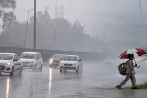 ਪੰਜਾਬ ਦੇ 14 ਜ਼ਿਲ੍ਹਿਆਂ 'ਚ ਮੀਂਹ ਦਾ ਅਲਰਟ ਜਾਰੀ, ਲੁਧਿਆਣਾ 'ਚ ਮੌਨਸੂਨ ਦੀ ਦਸਤਕ | Rain alert issued in 14 districts of Punjab, Monsoon in Ludhiana