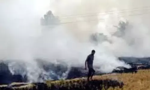 NGT ਦਾ ਵੱਡਾ ਬਿਆਨ, ਦਿੱਲੀ ਦੇ ਪ੍ਰਦੂਸ਼ਣ ਲਈ ਪੰਜਾਬ ਜ਼ਿੰਮੇਵਾਰ ਨਹੀਂ, ਕਿਸਾਨਾਂ ਦੀ ਪਰਾਲੀ ਨਹੀਂ ਕਰਦੀ ਪ੍ਰਦੂਸ਼ਣ