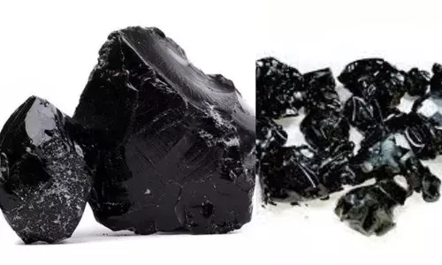 ਕੀ ਹੈ ਸ਼ਿਲਾਜੀਤ, ਜਾਣੋ ਇਸ ਦੇ ਅਦਭੁਤ ਫਾਇਦੇ