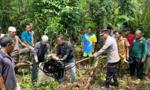 ਔਰਤ ਨੂੰ ਅਜਗਰ ਨੇ ਨਿਗਲਿਆ, ਦੇਖੋ ਕਿਵੇਂ ਕੱਢੀ ਲਾਸ਼