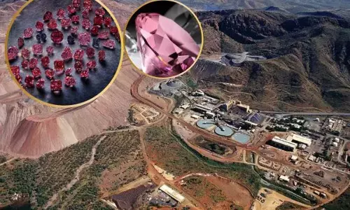 ਬੇਸ਼ਕੀਮਤੀ ਗੁਲਾਬੀ ਹੀਰੇ ਉਗਲਦੀ ਇਸ ਦੇਸ਼ ਦੀ ਧਰਤੀ