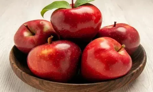 ਇਹ 5 ਭੋਜਨ ਖਾਣ ਨਾਲ ਸਰੀਰ ਨੂੰ ਮਿਲਦੀ ਭਰਪੂਰ ਊਰਜਾ