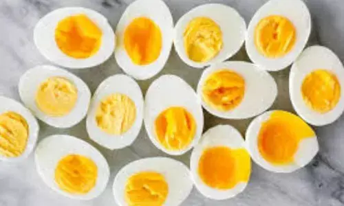 Benefits of Boiled Egg : ਉਬਲੇ ਆਂਡੇ ਖਾਣ ਨਾਲ ਹੁੰਦੇ ਹਨ ਸਰੀਰ ਨੂੰ ਇਹ ਵੱਡੇ ਫਾਇਦੇ