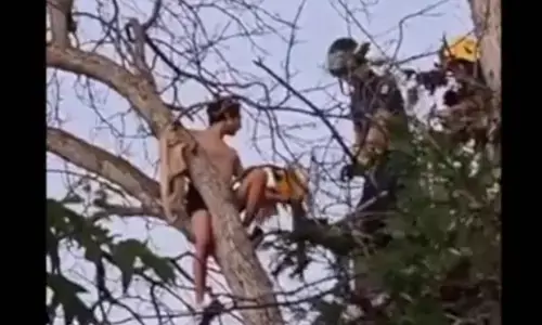 ਕੈਨੇਡਾ ਵਿਚ ਤੋਤੇ ਦੀ ਉਡਾਰੀ ਨੇ ਬੁਰਾ ਫਸਾਇਆ ਭਾਰਤੀ