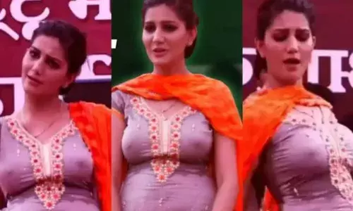 ਸਪਨਾ ਚੌਧਰੀ ਦੇ ਠੁਮਕਿਆਂ ਨੇ ਨੌਜਵਾਨਾਂ ਦਾ ਵਧਾਇਆ ਪਾਰਾ, ਦੇਖੋ ਫਿਰ ਕੀ ਹੋਇਆ