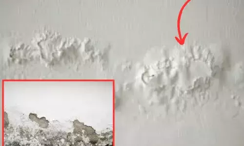 ਜੇਕਰ ਤੁਹਾਡੇ ਘਰ ਵੀ ਆਉਂਦੀ ਸਿੱਲ ਤਾਂ ਕਰੋ ਇਹ ਕੰਮ