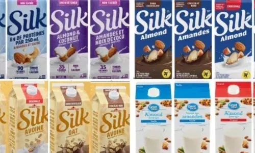 ਕੈਨੇਡਾ ’ਚ ਬਦਾਮ, ਕਾਜੂ ਅਤੇ ਨਾਰੀਅਲ ਦੇ ਦੁੱਧ ਉਤਪਾਦਾਂ ਦੀ ਵਿਕਰੀ ’ਤੇ ਰੋਕ