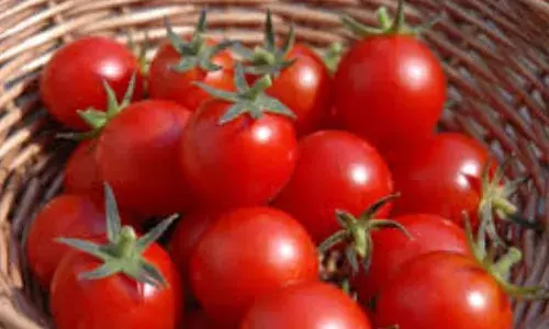 ਮਹਿੰਗਾਈ ਦੀ ਵੱਡੀ ਮਾਰ, ਟਮਾਟਰ ਹੋਇਆ 90 ਰੁਪਏ ਕਿਲੋ