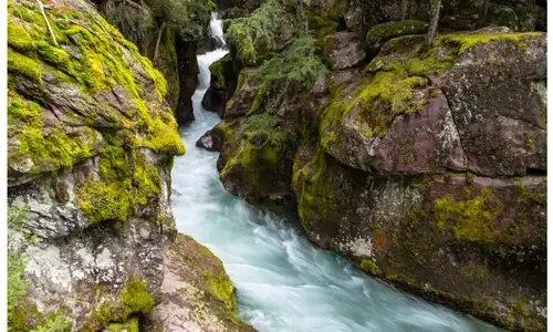 ਅਮਰੀਕਾ ਵਿਚ ਡੁੱਬਣ ਕਾਰਨ 2 ਭਾਰਤੀਆਂ ਦੀ ਮੌਤ