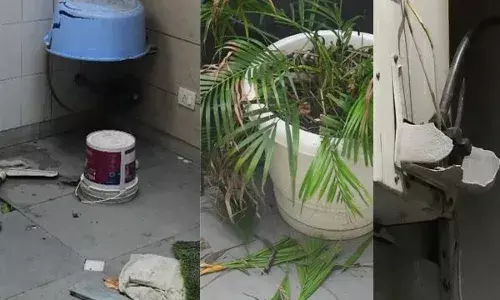 ਬਾਂਦਰ ਨੂੰ ਲੱਗਿਆ ਕਰੰਟ ਤਾਂ 50 ਬਾਂਦਰਾਂ ਨੇ ਘਰ ਤੇ ਕੀਤਾ ਹਮਲਾ, ਜਾਣੋ ਫਿਰ ਕੀ ਹੋਇਆ