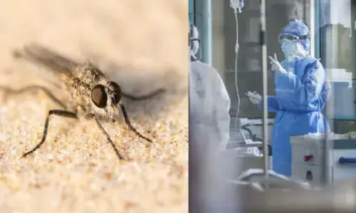 ਚਾਂਦੀਪੁਰਾ ਵਾਇਰਸ ਦਾ ਕਹਿਰ, ਵੱਧਦੀ ਜਾ ਰਹੀ ਹੈ ਮਰੀਜ਼ਾਂ ਦੀ ਗਿਣਤੀ, ਜਾਣੋ ਖਬਰ