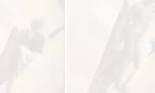 ਮਹਿਲਾ ਟੂਰਿਸਟ ਨੇ ਸਟੈਚੂ ਨਾਲ ਕੀਤੀ ਅਸ਼ਲੀਲ ਹਰਕਤ, ਤਸਵੀਰਾਂ ਵਾਇਰਲ