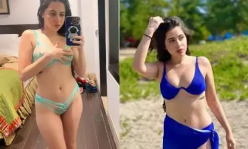 ਉਰਫੀ ਜਾਵੇਦ ਦੀ ਖੂਬਸੂਰਤੀ ਦੇਖ ਫੈਨਜ਼ ਦਾ ਵਧਿਆ ਪਾਰਾ, ਦੇਖੋ ਤਸਵੀਰਾਂ