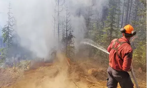 ਬੀ.ਸੀ. ਵਿਚ 87 ਥਾਵਾਂ ’ਤੇ ਲੱਗੀ ਜੰਗਲਾਂ ਦੀ ਅੱਗ