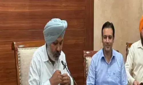 ਪੰਜਾਬ ਸਰਕਾਰ ਵੱਲੋਂ ਫਰਜ਼ੀ ਕੰਪਨੀਆਂ ਤੇ ਐਕਸ਼ਨ, ਫਰਮਾਂ ਦੀ ਰਜਿਸਟ੍ਰੇਸ਼ਨ ਕੀਤੀ ਰੱਦ