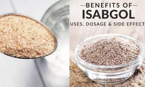 ਇਸਾਬਗੋਲ ਦੇ ਸੇਵਨ ਤੋਂ ਪਹਿਲਾਂ ਜਾਣੋ ਇਹ ਖਾਸ ਗੱਲਾਂ