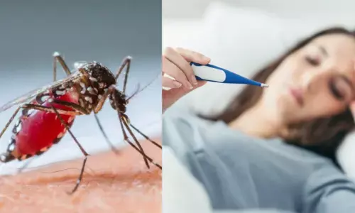 ਮਾਨਸੂਨ ਬੁਖਾਰ ਜਾਂ ਡੇਂਗੂ ਬੁਖਾਰ ? ਜਾਣੋ ਦੋਵਾਂ ਚ ਕੀ ਹੈ ਫਰਕ ਅਤੇ ਕਿਵੇਂ ਕਰ ਸਕਦੇ ਹੋ ਬਚਾਅ