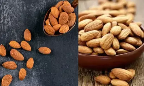 ਬਦਾਮ ਦੇ ਸੇਵਨ ਤੋਂ ਪਹਿਲਾਂ ਜਾਣੋ ਇਹ ਜ਼ਰੂਰੀ ਗੱਲਾਂ !