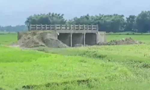 ਨਾ ਨਦੀ, ਨਾ ਸੜਕ... ਖੇਤਾਂ ਚ ਬਣਾਇਆ ਪੁਲ, ਬਿਹਾਰ ਚ ਅਨੋਖਾ ਪੁਲ