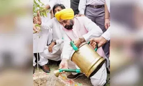 CM  ਭਗਵੰਤ ਮਾਨ ਵੱਲੋਂ ਬੂਟੇ ਲਾਉਣ ਦੀ ਮੁਹਿੰਮ ਨੂੰ ਲੋਕ ਲਹਿਰ ਬਣਾਉਣ ਦਾ ਸੱਦਾ